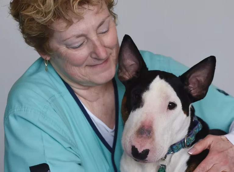About Us - Companion Animal Hospital of Selinsgrove