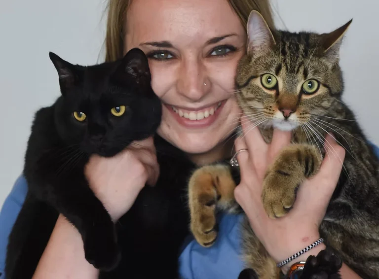 About Us - Companion Animal Hospital of Selinsgrove