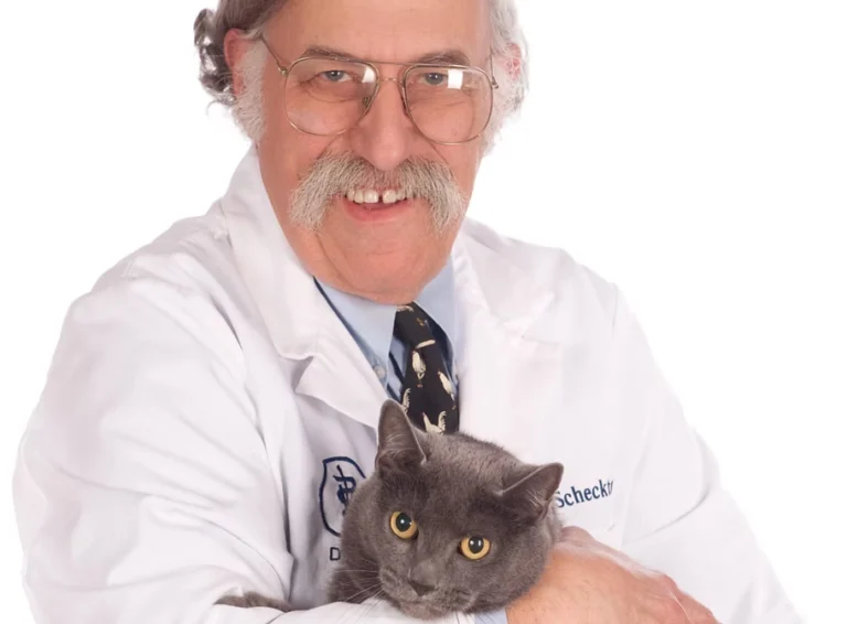 About Us - Companion Animal Hospital of Selinsgrove
