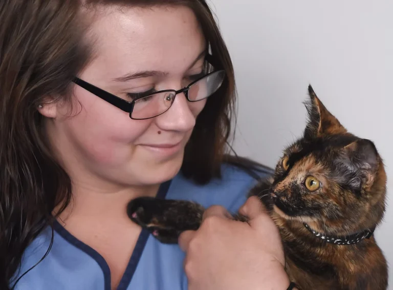 About Us - Companion Animal Hospital of Selinsgrove