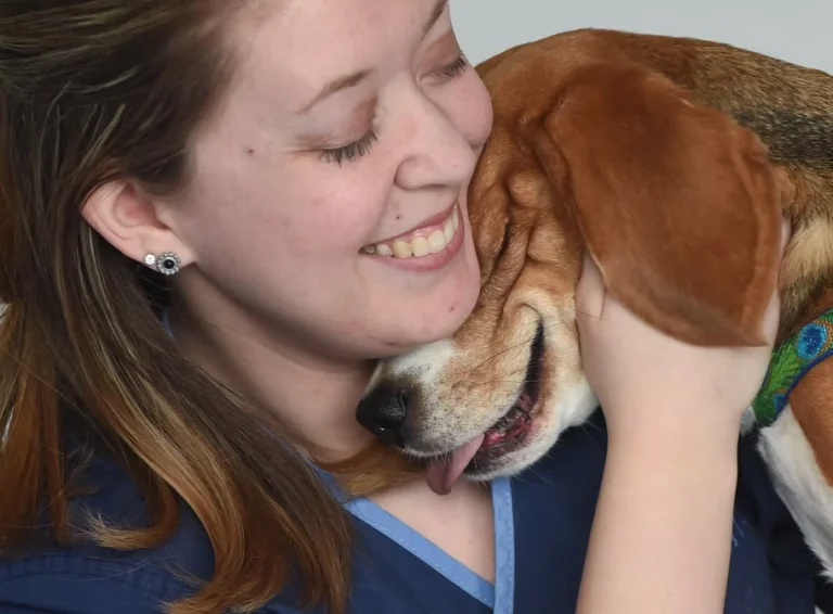 About Us - Companion Animal Hospital of Selinsgrove