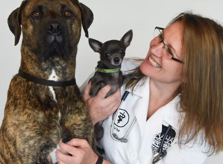 About Us - Companion Animal Hospital of Selinsgrove