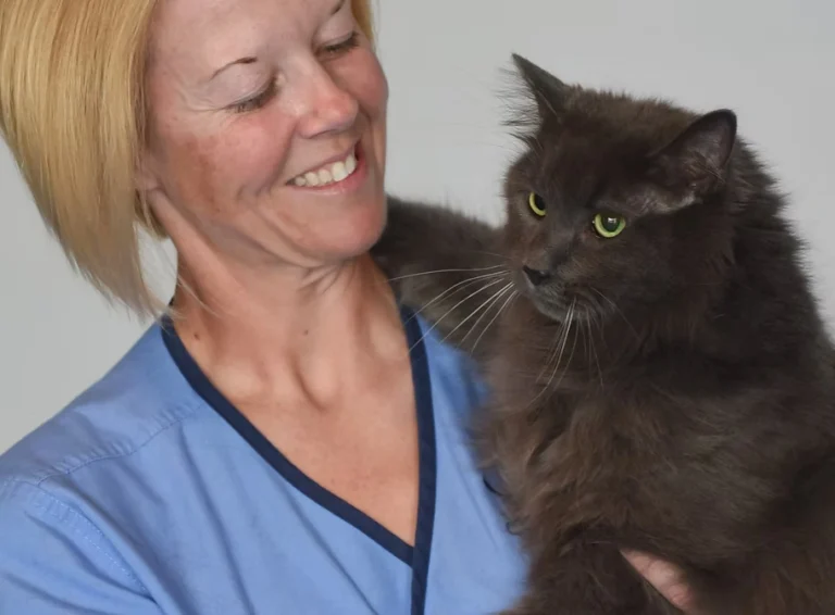 About Us - Companion Animal Hospital of Selinsgrove