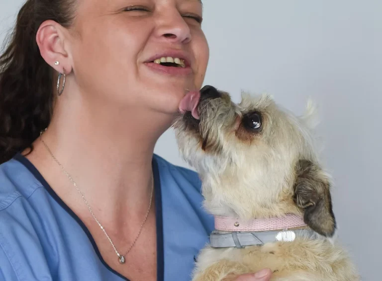 About Us - Companion Animal Hospital of Selinsgrove