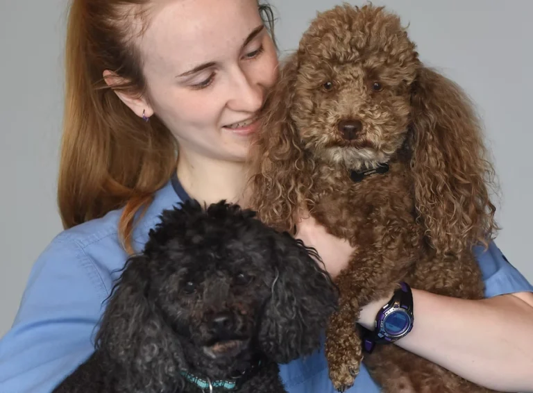 About Us - Companion Animal Hospital of Selinsgrove