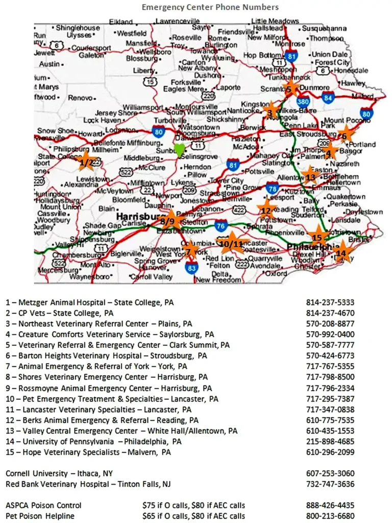 map of emergency numbers to call